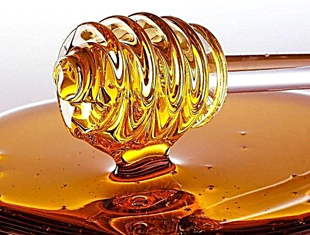Nærende, fuktighetsgivende og lysende hårmasker med honning