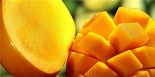 6 enkle måter å lage tørkede og tørkede mangoer hjemme på