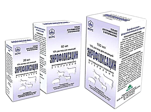 Pitunjuk pikeun panggunaan enrofloxacin pikeun manuk