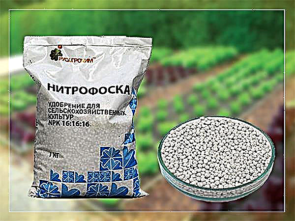 Správné používání nitrophoska jako hnojiva
