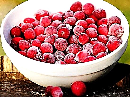 5 mafi kyawun hanyoyi don adana cranberries