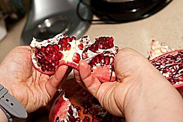 Hoe gedroogde granaatappel thuis goed te koken