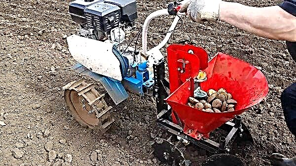 Plantación correcta de patacas cun tractor a pé