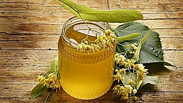 Propriétés utiles et contre-indications du miel de tilleul