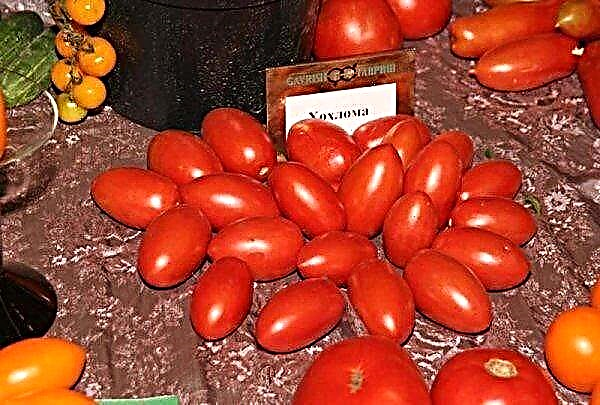 Beschrijving en kenmerken van de tomatenvariëteit Khokhloma