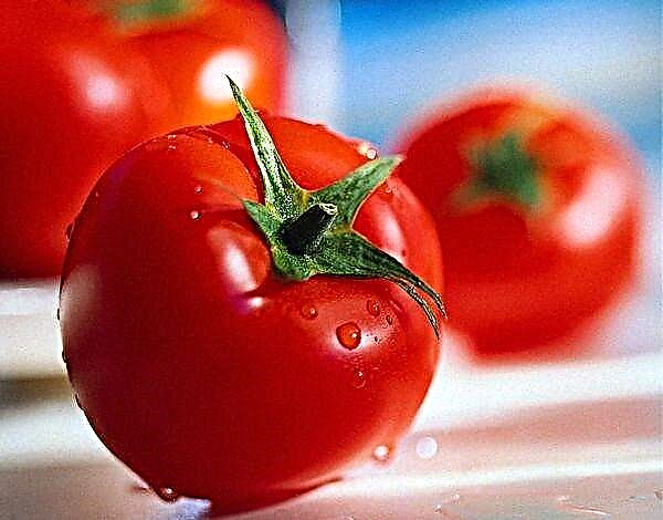 Përshkrimi i hollësishëm dhe karakteristikat e varietetit të domates La-la-fa