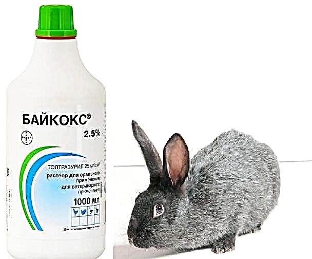 Návod k použití drogy Baycox pro králíky
