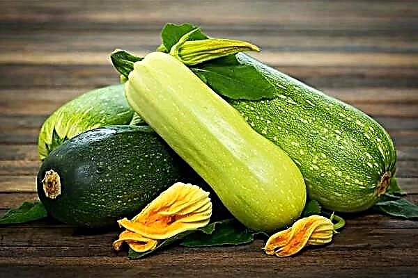 Hvordan adskiller zucchini og courgette sig fra hinanden?