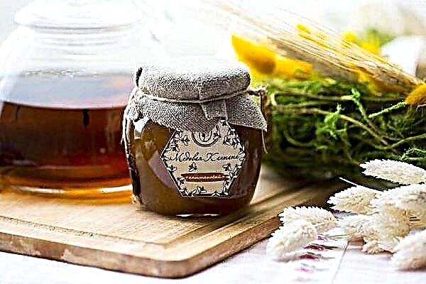 Användbara egenskaper och kontraindikationer av kastanj honung