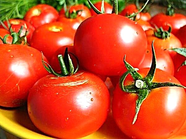Deskripsi rinci lan karakteristik macem-macem tomat sing ngasilake Kolkhoz