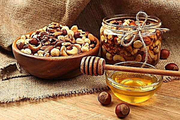 Výhody a poškození ořechů s medem