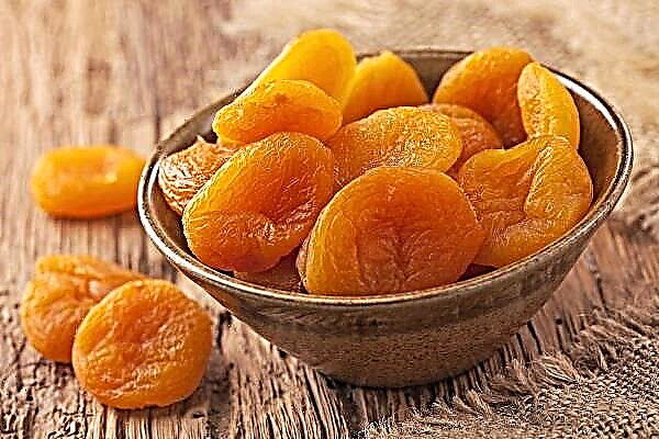 Apa sing diarani jinis apricot garing
