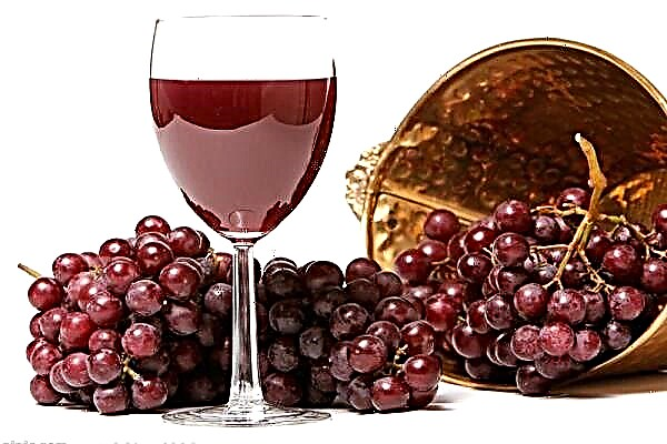 Рецепти од вино од грозје Лидија дома