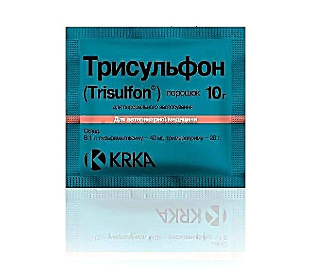 Trisulfon za kuniće: upute za uporabu lijeka
