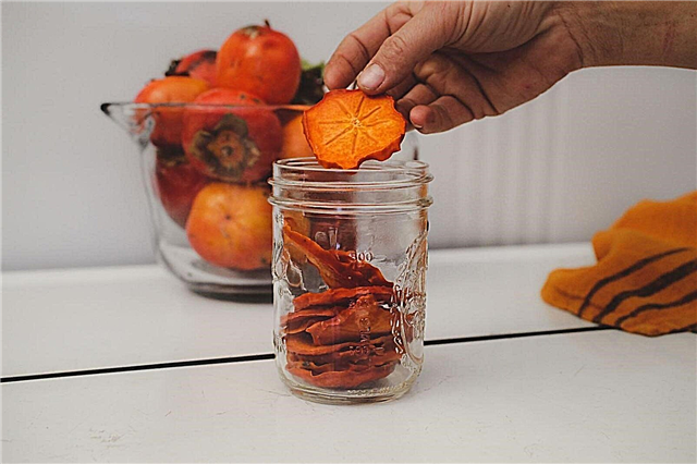 4 måder at lagre på et vitaminpræparat fra tørrede og tørrede persimmons til vinteren